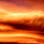 Cloud Series Cards